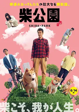 久热免费在线观看