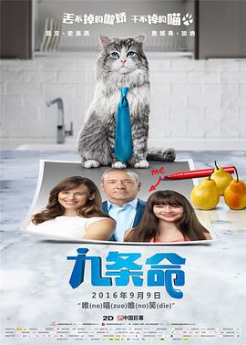 免费在线视频一区