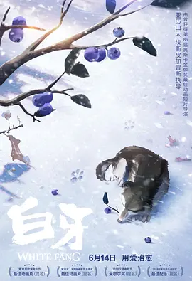 观测人