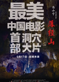 久久大伊人