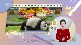 欧美a级理论片